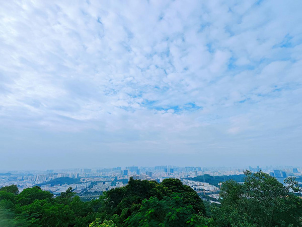 登山團(tuán)建丨攜手共進(jìn)  勇攀高峰