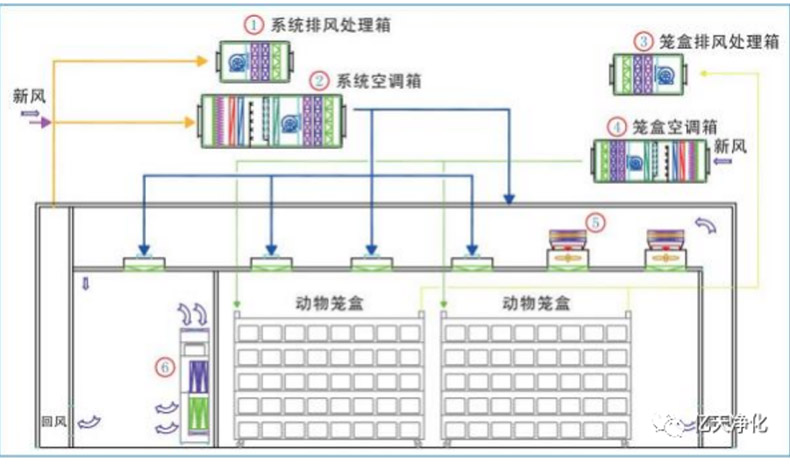 動物實驗室空氣質量控制解決方案